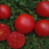 Clare Valley Red (Гном Красная Долина Клэр) Clare Valley Red (Гном Красная Долина Клэр)