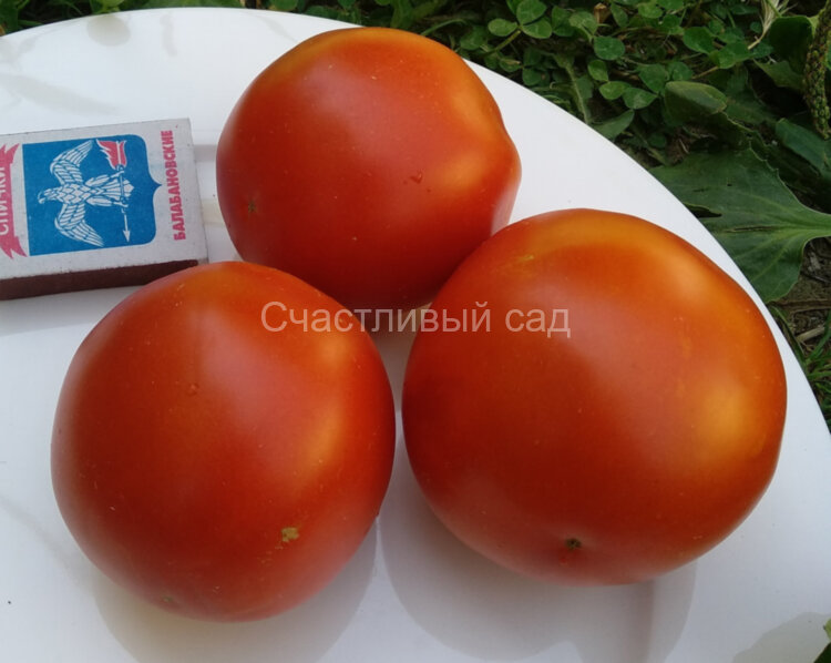 Фермерский Фермерский
