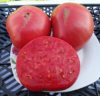 Tennessee Heirloom (Фамильный Теннесси)