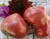 Strawberry Sgt. Peppers