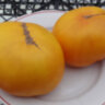 Sean’s Yellow Dwarf (Желтый Гном Шона) Sean’s Yellow Dwarf (Желтый Гном Шона)