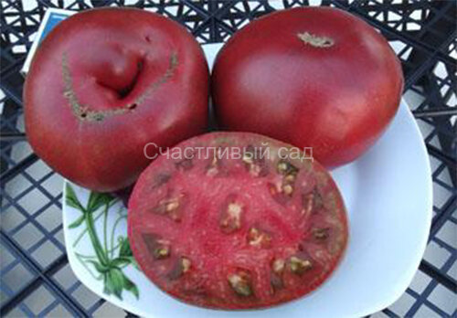 Royal Purple (Королевский Пурпурный) Royal Purple (Королевский Пурпурный)