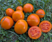 Зеро