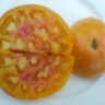 Big Orange Bicolor (Большой Оранжевый Двухцветный) Big Orange Bicolor (Большой Оранжевый Двухцветный)