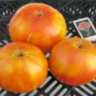 Big Orange Bicolor (Большой Оранжевый Двухцветный) Big Orange Bicolor (Большой Оранжевый Двухцветный)