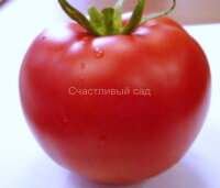 Зинуля