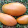 Dwarf Laura’s Bounty (Гном Щедрость Лауры) Dwarf Laura’s Bounty (Гном Щедрость Лауры)