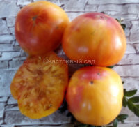 Sgt. Peppers Orange (Сержант Пеппер оранжевый)