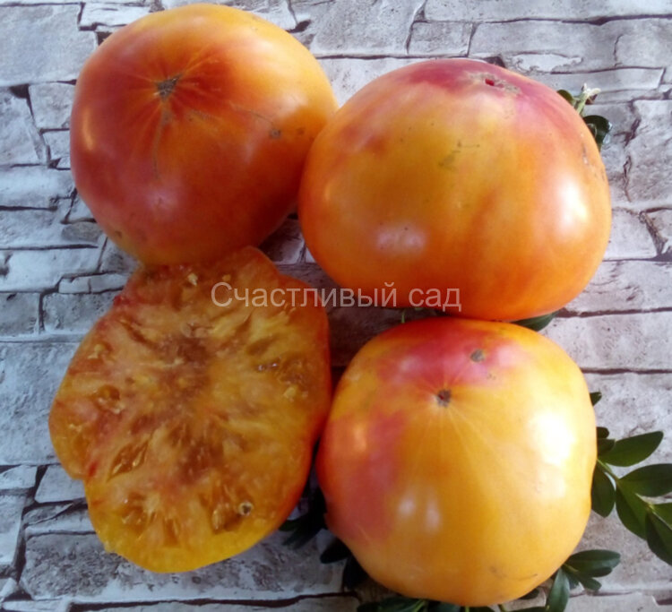 Sgt. Peppers Orange (Сержант Пеппер оранжевый) Sgt. Peppers Orange (Сержант Пеппер оранжевый)