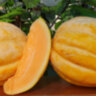Дыня Delice De La Table (Столовая деликатесная) Дыня Delice De La Table (Столовая деликатесная)