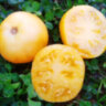 Dwarf Marong Moon (Гном Луна Маронга) Dwarf Marong Moon (Гном Луна Маронга)