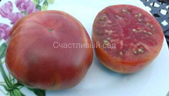 . Blaue Kasachstan (Синий Казахстан) . Blaue Kasachstan (Синий Казахстан)