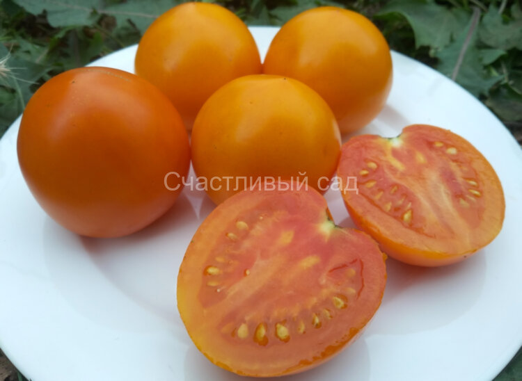 Персидская сказка Персидская сказка