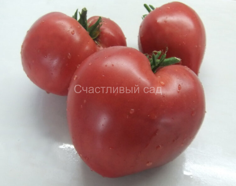Минусинские плоские сердца