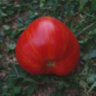 Stone brook heart dwarf (Гном сердце каменного ручья) Stone brook heart dwarf (Гном сердце каменного ручья)