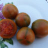 Evil Olive (Злая маслина) (Тип мультифлора) Evil Olive (Злая маслина) (Тип мультифлора)