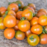 Evil Olive (Злая маслина) (Тип мультифлора) Evil Olive (Злая маслина) (Тип мультифлора)