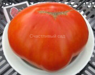 рубиновые зрезды.jpg Рубиновые звёзды
