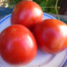 Rogero (Роджеро) Rogero (Роджеро)