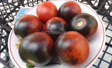 Blue Chocolate (Синий шоколад) Blue Chocolate (Синий шоколад)