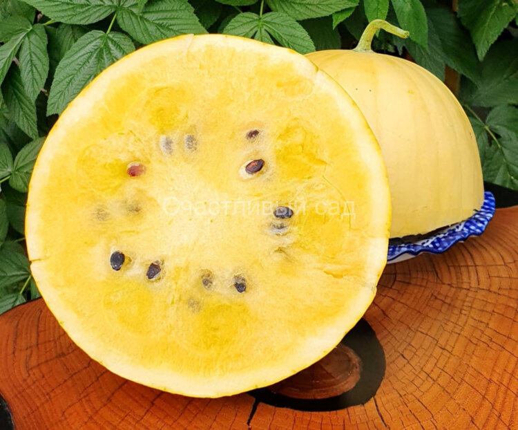 Арбуз Lemon Drop (Лимонная капля) Арбуз Lemon Drop (Лимонная капля)