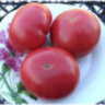 Willa’s Cariboo Rose (Роза Виллы Карибу) Willa’s Cariboo Rose (Роза Виллы Карибу)