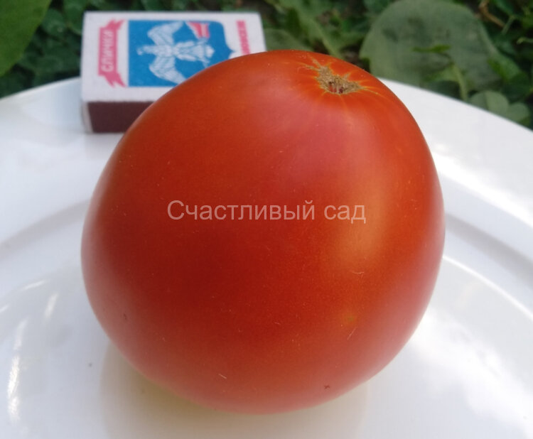 Неразлучные Сердца Неразлучные Сердца