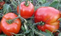 Кувалда