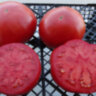 Magnum Beefsteak (Магнум бифстейк) Magnum Beefsteak (Магнум бифстейк)
