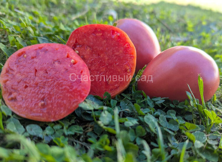 Подсиневские сердца минусинские Подсиневские сердца минусинские