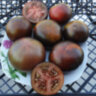 Chestnut Chocolate (Каштановый Шоколад)