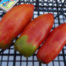 Federle (Федерле) Federle (Федерле)
