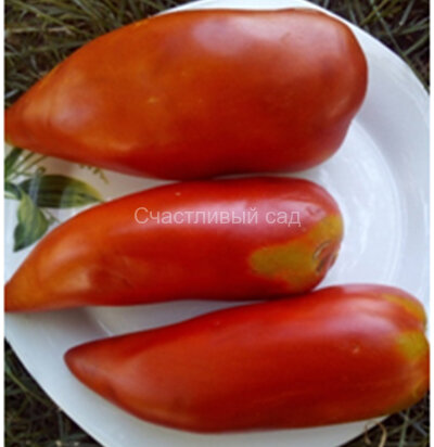 Federle (Федерле) Federle (Федерле)