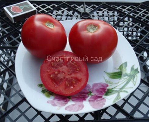 Атлант Атлант