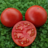 Жаудат Жаудат