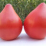 Северная корона Северная корона