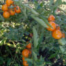 AnnaSun (АннаСан) AnnaSun (АннаСан)