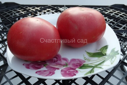 Геракл
