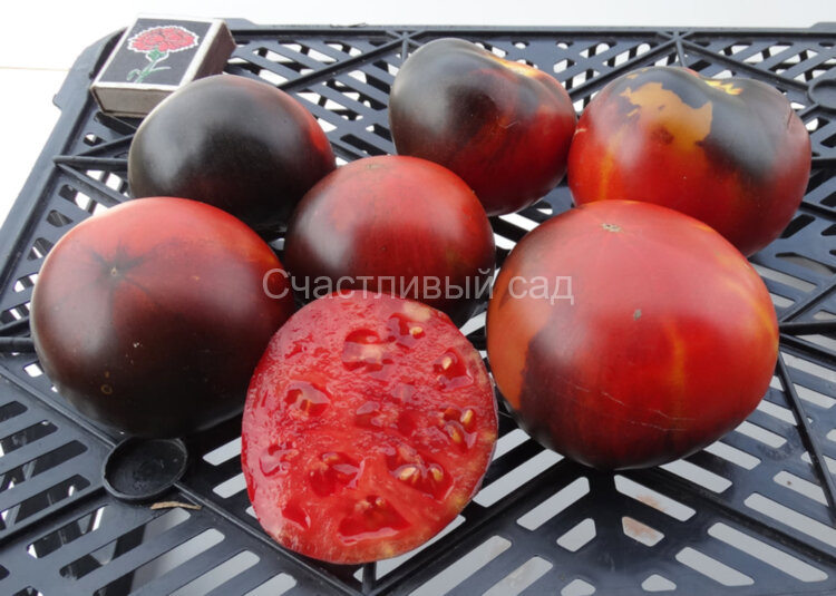 Indigo Apple (Синее яблоко) Indigo Apple (Синее яблоко)