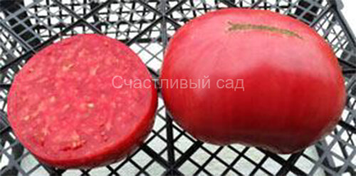 Зураба Кухинидзе (от Зураба Кунахидзе)