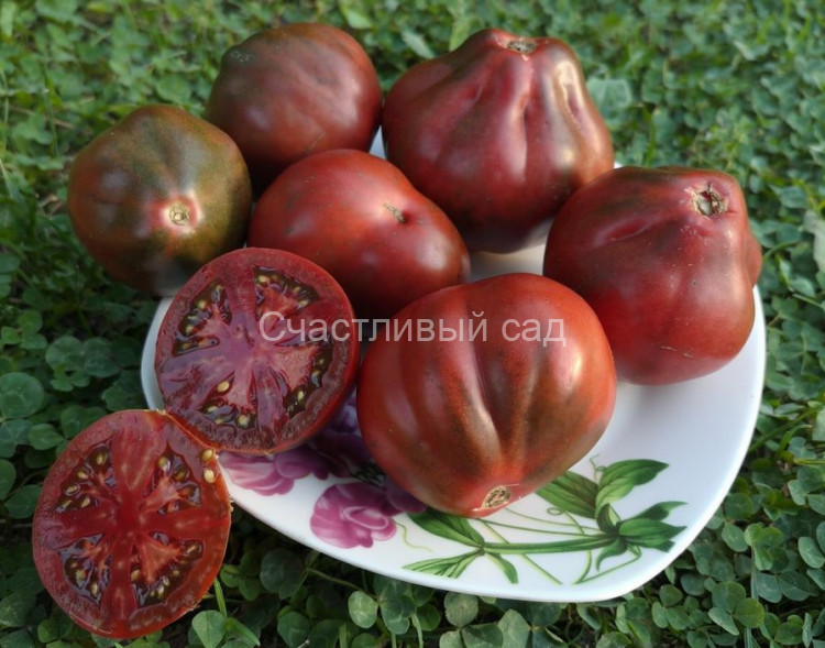 Винный кувшин (Wine jug) Винный кувшин (Wine jug)