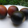 Mocha's Cherry Dwarf (Гном вишня Мокко, Гном черри Мокко) Mocha's Cherry Dwarf (Гном вишня Мокко, Гном черри Мокко)