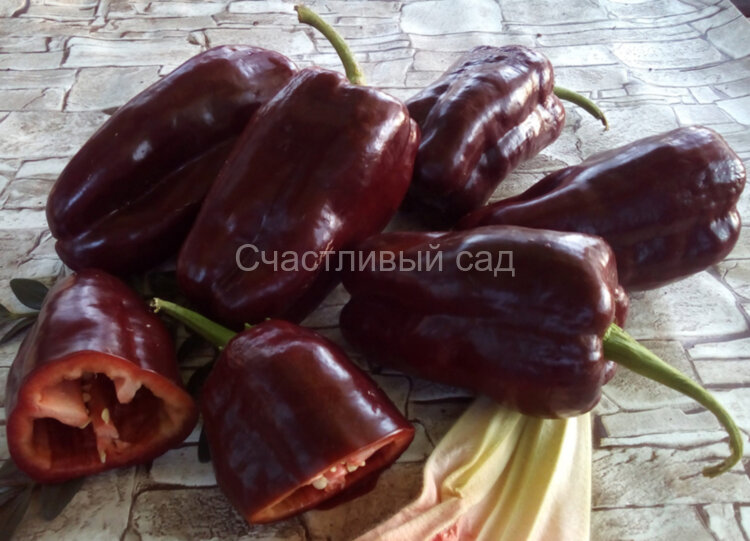 Перец Шоколадка Перец Шоколадка