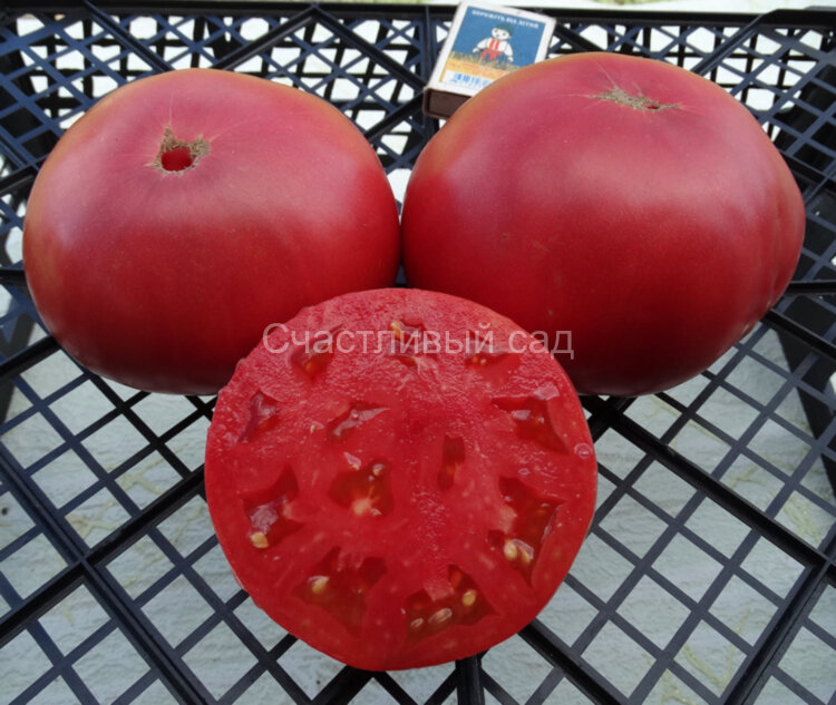 Watermelon Big (Арбуз Большой) Watermelon Big (Арбуз Большой)