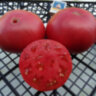 Watermelon Big (Арбуз Большой) Watermelon Big (Арбуз Большой)