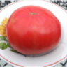 Watermelon Big (Арбуз Большой) Watermelon Big (Арбуз Большой)