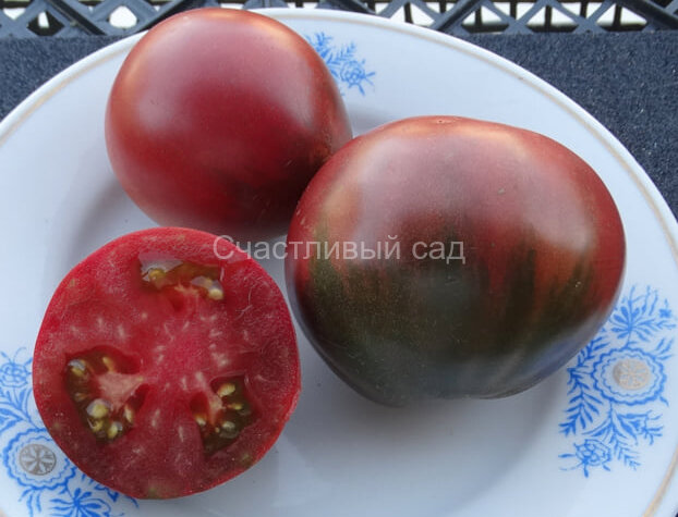 Evan's Purple Pear (Пурпурная груша Эванса) Evan's Purple Pear (Пурпурная груша Эванса)