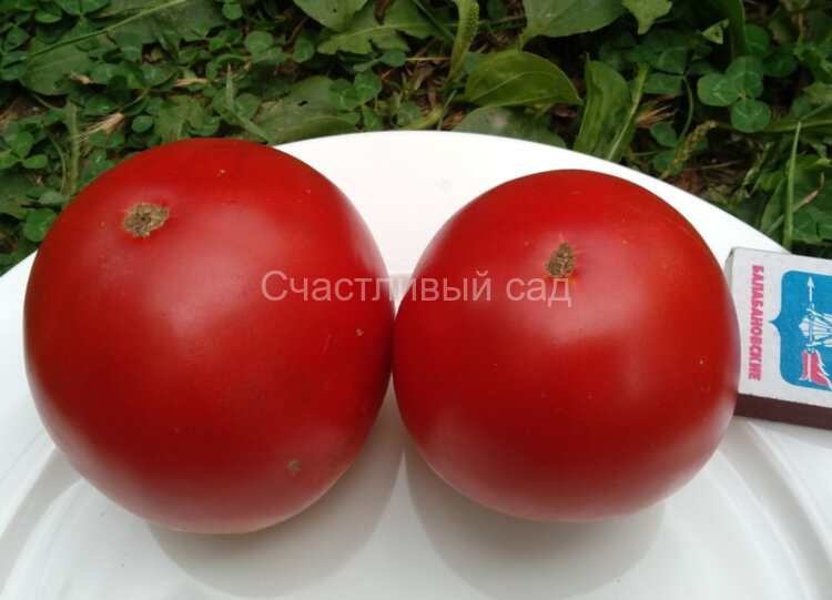 О-ля-ля О-ля-ля