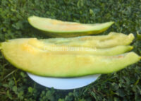 Дыня Банана (Banana)