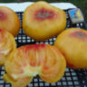 Paw Paw Yellow Paw Paw Yellow